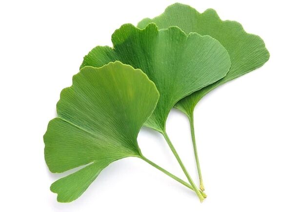 Gluconol contains Ginkgo biloba